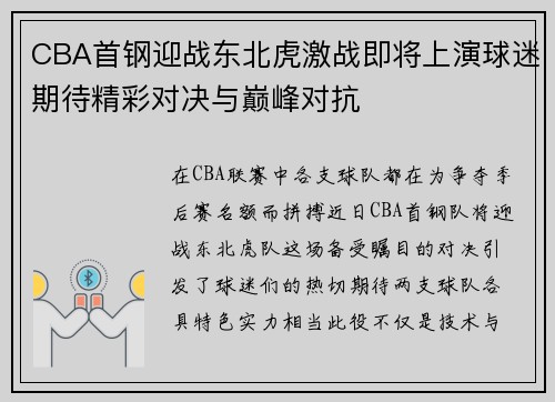 CBA首钢迎战东北虎激战即将上演球迷期待精彩对决与巅峰对抗