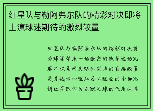红星队与勒阿弗尔队的精彩对决即将上演球迷期待的激烈较量
